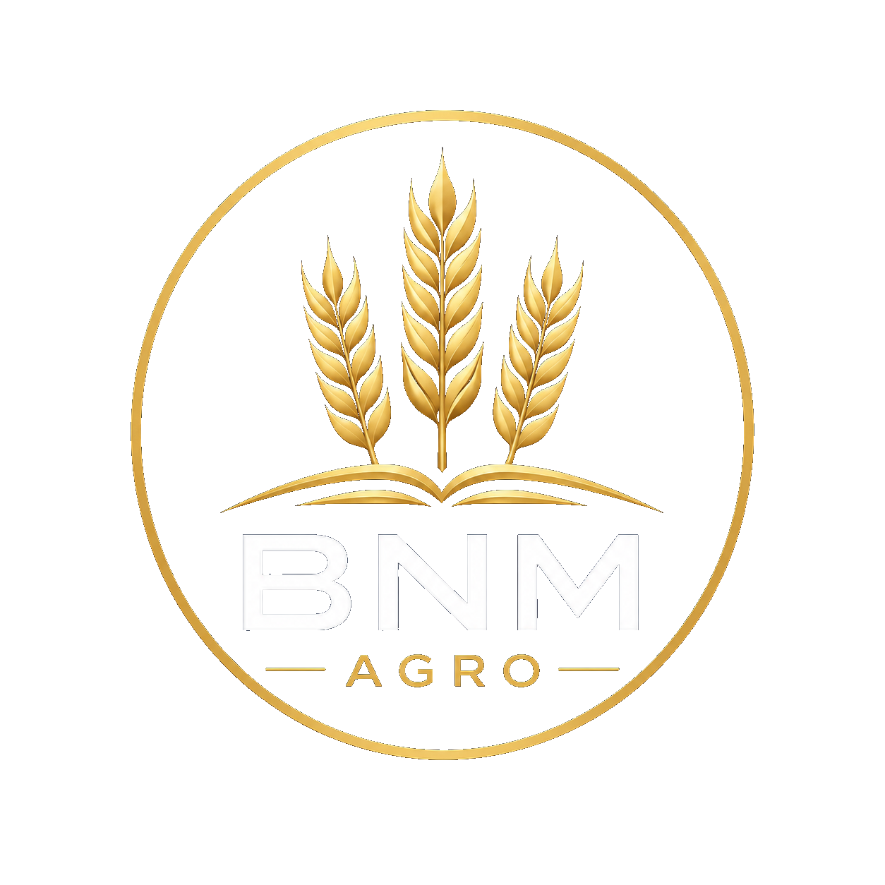 BNM Agro — Global Commodity Trading
